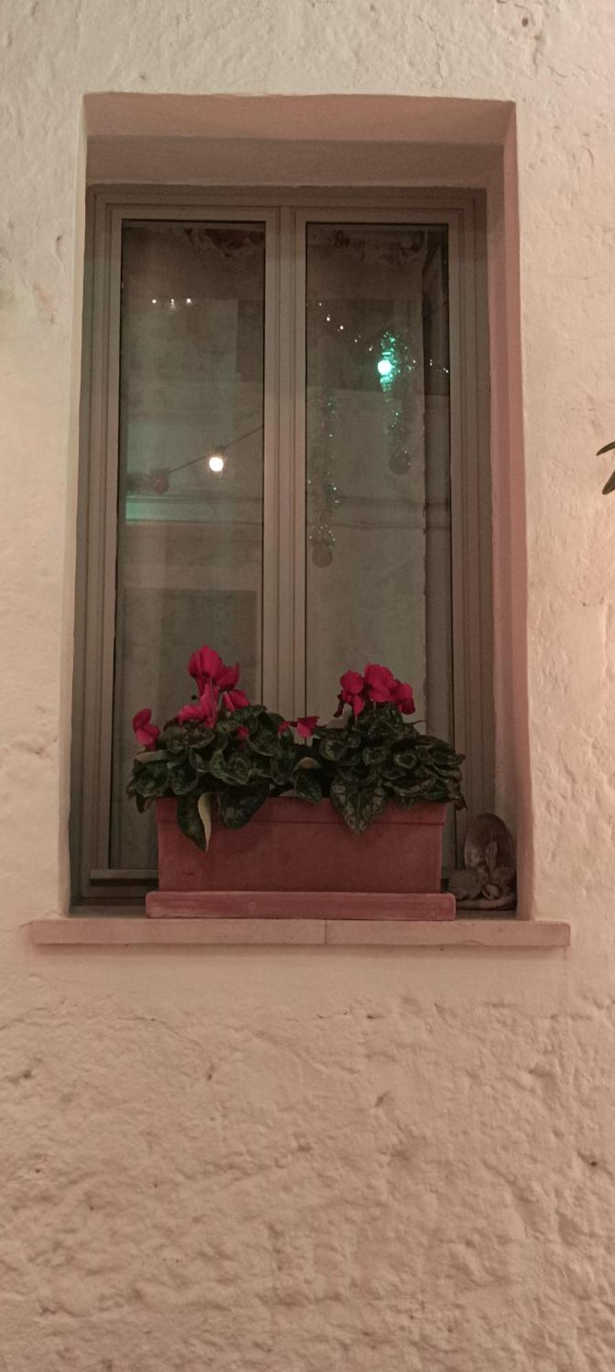 Mena Me - Casa Vacanza - Salento Parabita Luaran gambar